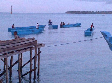 hasil laut arafura cv multi karunia