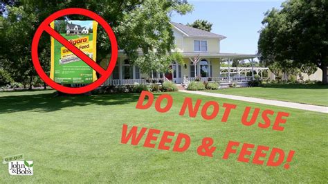 Mow Before Or After Weed And Feed Solved Green Garden Facts