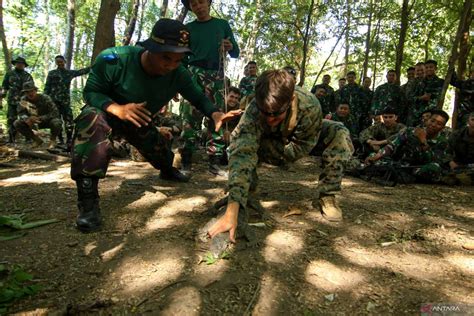 Latihan Jungle Survival Marinir Indonesia Amerika Antara News