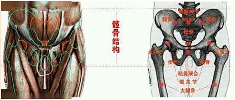 松尾闾的四步功诀 搜狐大视野 搜狐新闻