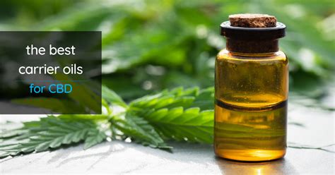 Which Cbd Carrier Oil Will Be The Best Sonnah