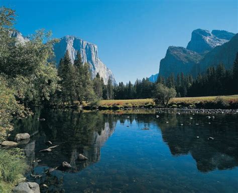 Explora El Parque Nacional De Yosemite Desde Tu Sof