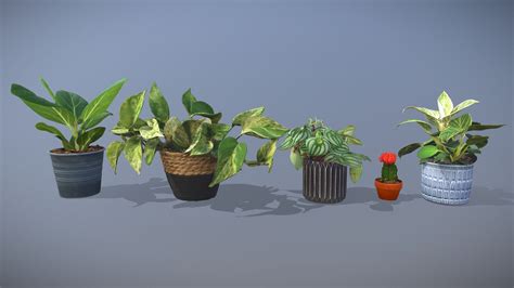 Plants And Houseplants Pack 2 Buy Royalty Free 3D Model By Lassi