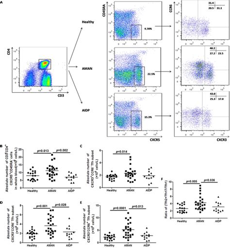 Altered Expression Of Circulating Memory Tfh Cell Subsets Tfh1 Tfh2