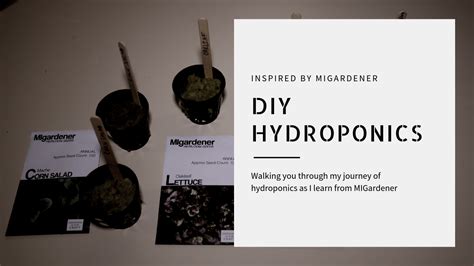 DIY Hydroponics: How to start growing indoors – Farmer Brad