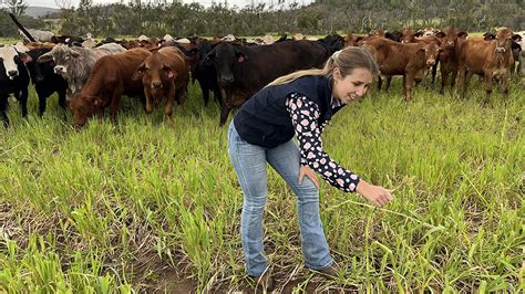 Agriculture Ushers In New Generation Of Changemakers Westpac