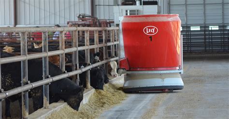 Automation Makes Cattle Feeding More Efficient Farm Progress