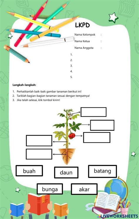 Bagian Bagian Tanaman Activity Live Worksheets