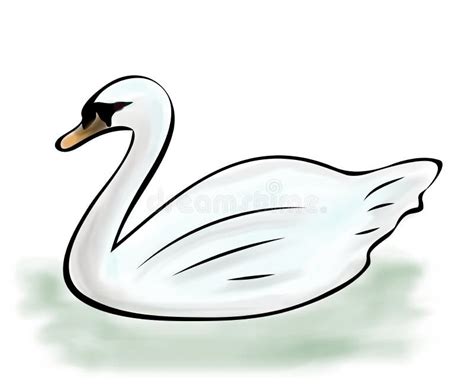 Dessin de cygne illustration de vecteur. Illustration du élégance - 30278632