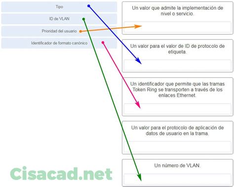 Ccna V M Dulos Examen De Conceptos De Switching Vlans Y