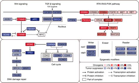 Landscape Of Signaling Pathway Alterations In Sba Alterations