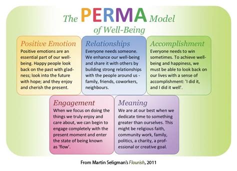 Perma Model Well Being Diagram What Is Perma Model