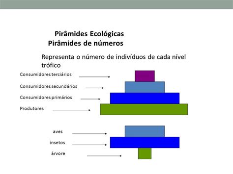 Ecologia Ppt Carregar