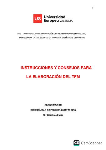 CONSEJOS Y PARTES DEL TFM ESPECIALIDAD DE PROCESOS SANITARIOS Pdf