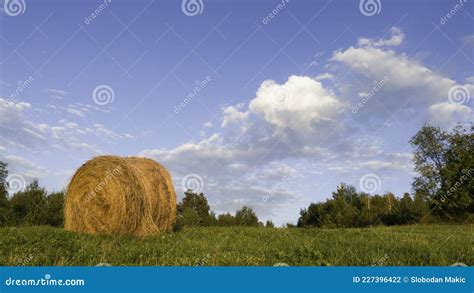 Campo Fardos De Feno Rolo Iluminado Ao Sol Da Noite E Nuvens