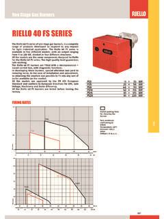 RIELLO 40 FS SERIES Riello Burners Riello 40 Fs Series Riello