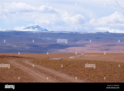 Road in the bolivian highlands hi-res stock photography and images - Alamy