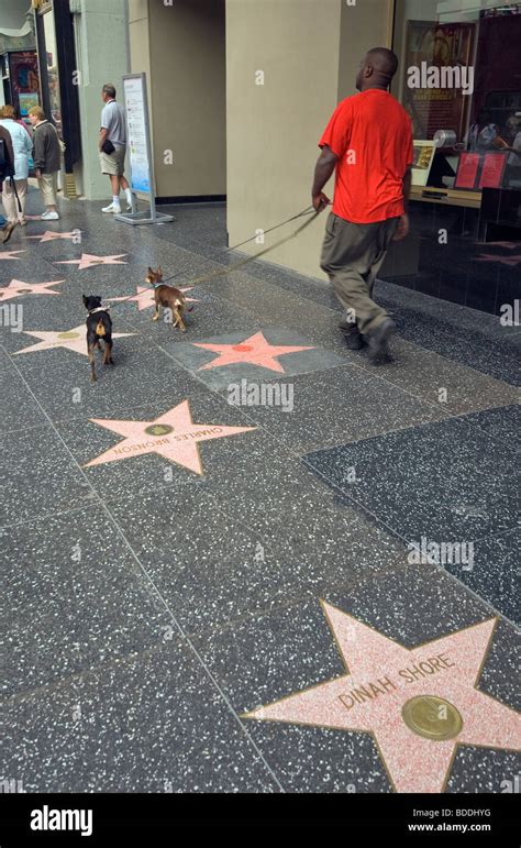 Tourists at Walk of Fame at Hollywood Boulevard, Hollywood, California ...