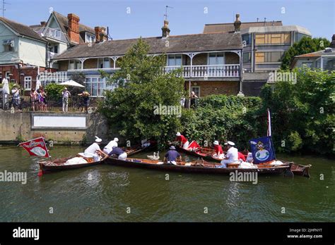 Swan Uppers Rowing Near Staines Upon Thames In Surrey During The