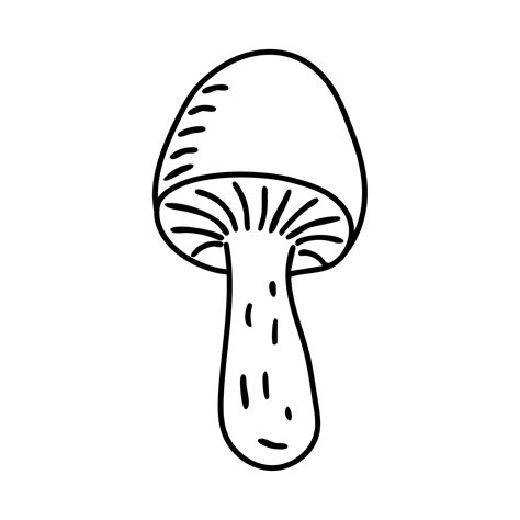 Mushroom Doodle Vector Illustration 21692889 Vector Art At Vecteezy