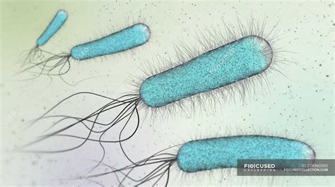 Ilustración 3d de bacterias en forma de barra azul digital