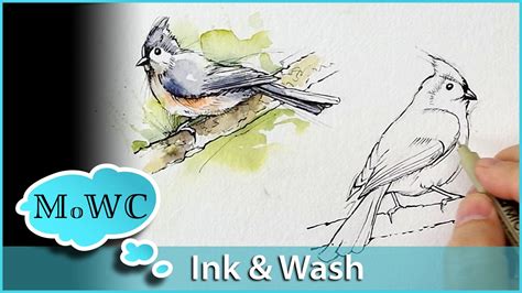 How To Paint Birds In Pen And Ink And Watercolor Wash Technique