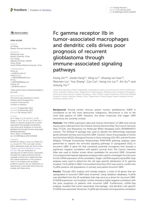 Pdf Fc Gamma Receptor Iib In Tumor Associated Macrophages And