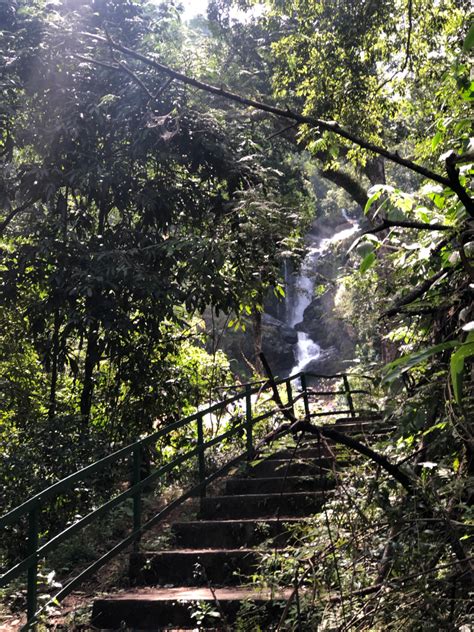 Iruppu Falls South Coorg Travel Guide | Must Explore Awesome Water Cascade