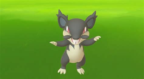 Alola Rattata Is Now Appearing In Pokemon GO – NintendoSoup