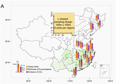 Microbiome稻田土壤产甲烷菌的共存模式与什么相关 微生物专题 群落