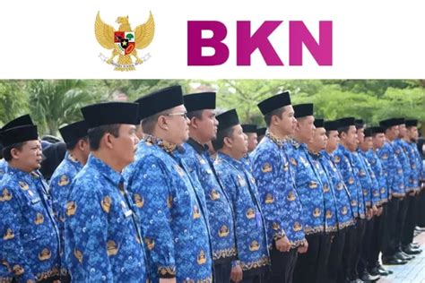 Resmi Dari BKN Kenaikan Pangkat PNS Berubah Menjadi 6 Periode Setahun