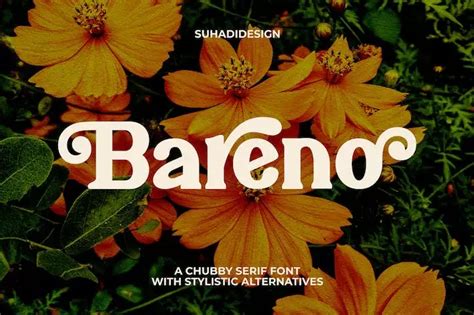 Bareno Font - Dfonts