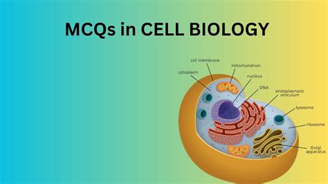 Mcq Cell Biology Quiz Test In Cellular Components Youtube