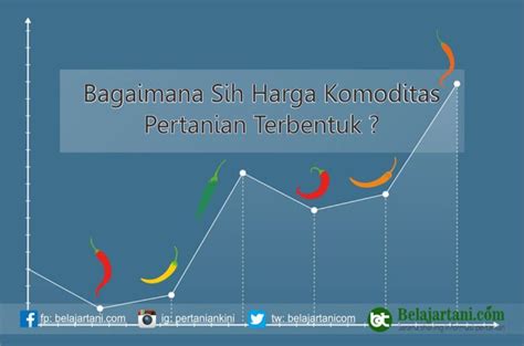 Bagaimana Sih Harga Komoditas Pertanian Terbentuk