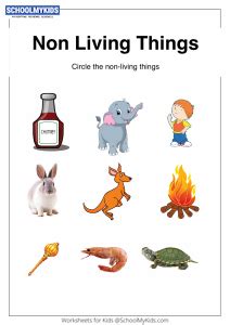 Sorting Non-Living Things worksheet for Preschool,Kindergarten,First ...