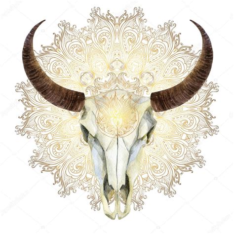 Watercolor Cow Skull Stock Photo By Tetiana Syrytsyna 117160546