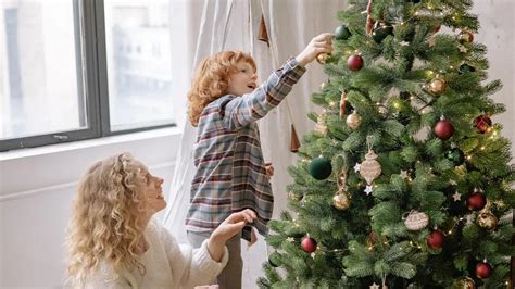 Fechas Para Poner Y Quitar El árbol De Navidad Fotocopias Y Campus