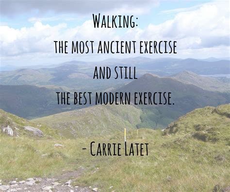 17+ Hiking Quotes - Quotes For Inspiration And Motivation - Hillwalk ...