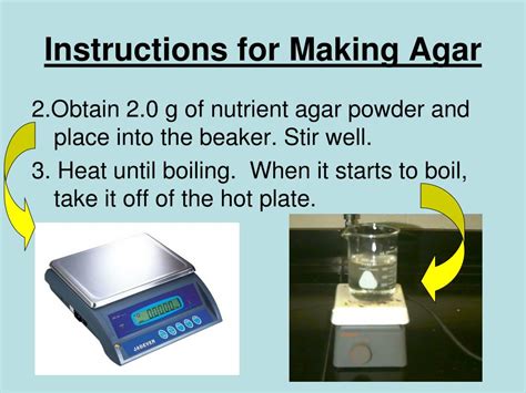 Ppt Agar Powerpoint Presentation Free Download Id6207678