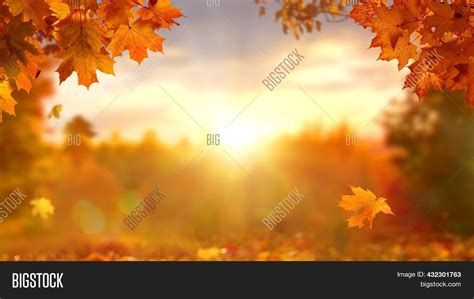 Sunny Autumn Day Image & Photo (Free Trial) | Bigstock