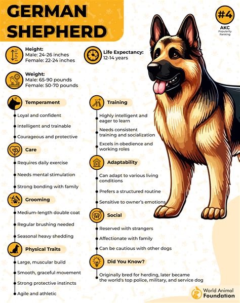 7 Guard Dog Breeds For High-Risk Locations