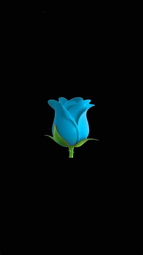 Minimalist Rose Wallpapers - 4k, HD Minimalist Rose Backgrounds on ...