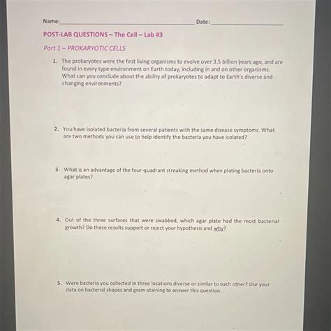 Solved Name Date POST LAB QUESTIONS The Cell Lab 3 Chegg