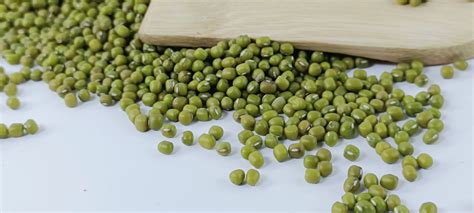 Ethiopian Green Mung Beans Crop Bright Green Handpicked And