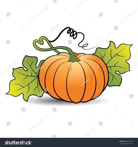 Pumpkin Leaf Drawing