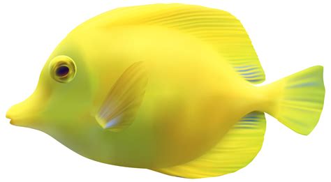 oceano png