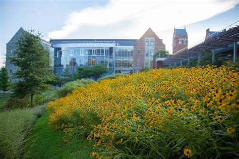 Visit Georgetown Mcdonough Campus Mcdonough School Of Business