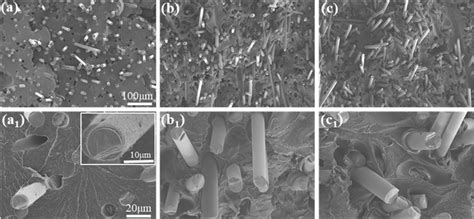 Sem Images Illustrating The Tensile Fractured Surface Of Gf Ppa