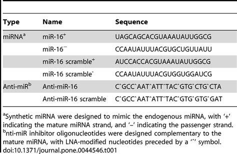 Mirna And Anti Mir Inhibitor Sequences Download Table