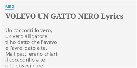 Volevo Un Gatto Nero Lyrics By Meg Un Coccodrillo Vero Un